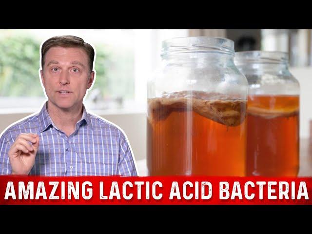 Lactic Acid Bacteria and Fermented Foods: Benefits – Dr.Berg