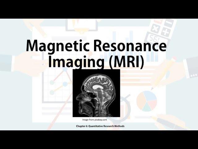 Techniques to study the brain - MRI (Biological Approach in IB Psych)