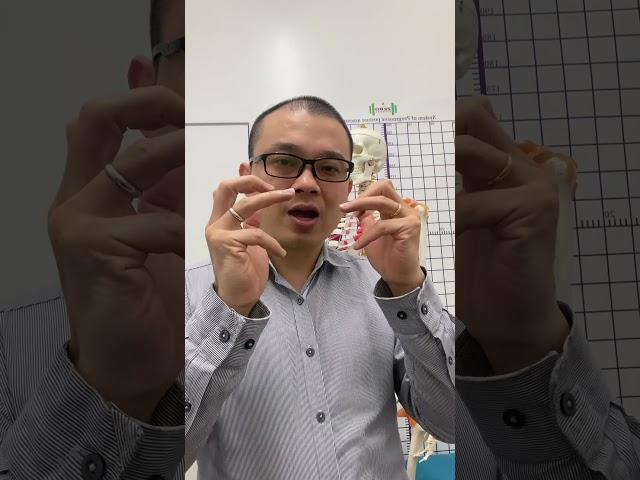 平脉法的革命性突破！28脉太复杂？我们只专注脉的高低 / 浮沉！简单、精准、实用——三天掌握，学会调脉平衡脏腑功能！