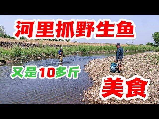 河裡的魚沒人要，叔叔和鄰居1個多小時抓10公斤多，越抓越上癮