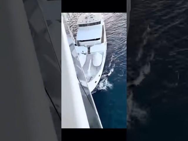 Someone is getting fired!️ #cruiseship #crash #royalcarribean