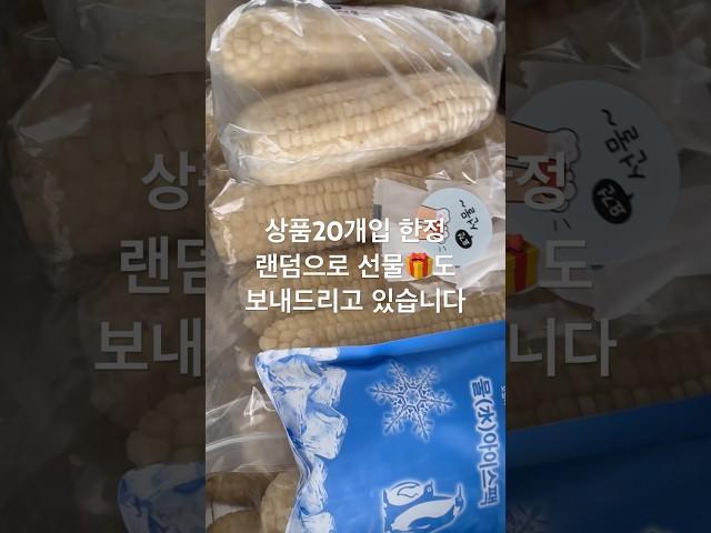 강원도옥수수 포장 과정  #corn #food #cooking #옥수수 #냉동옥수수 #강원도옥수수