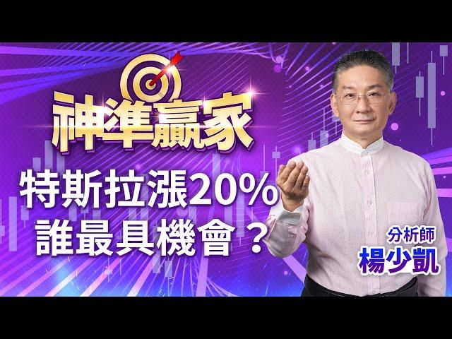 特斯拉漲20%，誰最具機會？｜20240705｜楊少凱 分析師｜神準贏家