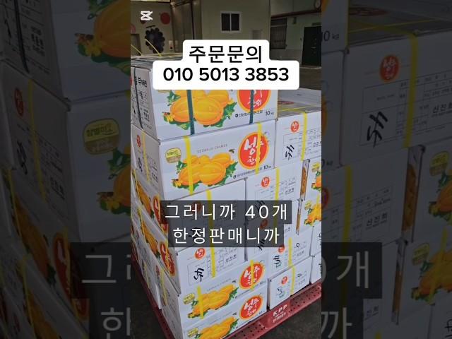 성주참외의 달콤함, 저렴한 가격에 만나보세요!"#성주참외 #참외 #제철과일 #10키로성주참외 #선물 #5키로