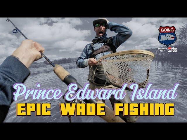 EPIC Fall Trout Fishing in CANADA! Trout Fishing Galore with Ike & Vegas!