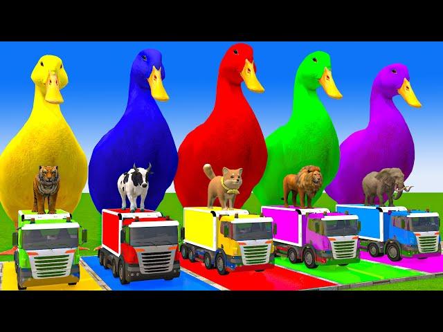 5 Giant Duck Cartoon,Cow,Mammoth,Dog,T-Rex,Lion,Tiger Paint Wild Animals Crossing Fountain Animation