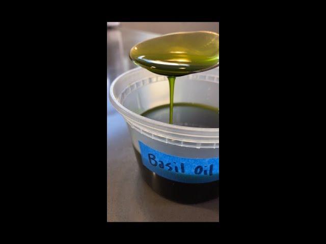 Michelin quality basil oil.        Recipes on ig