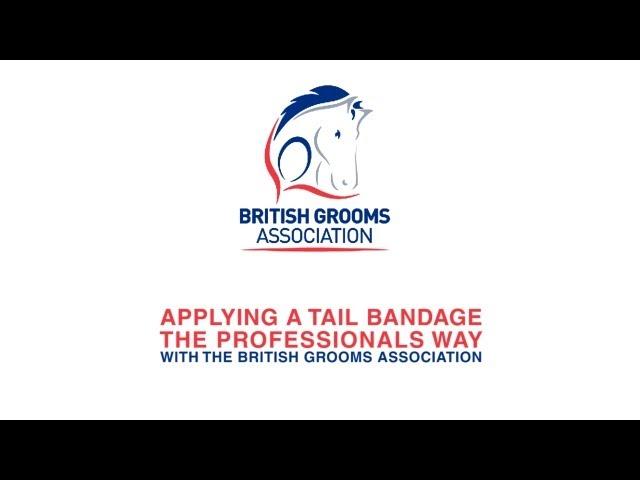 Applying a tail bandage with the British Grooms Association