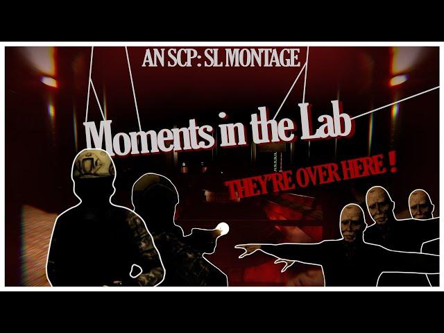 MOMENTS IN THE LAB (SCP: Secret Laboratory Montage)