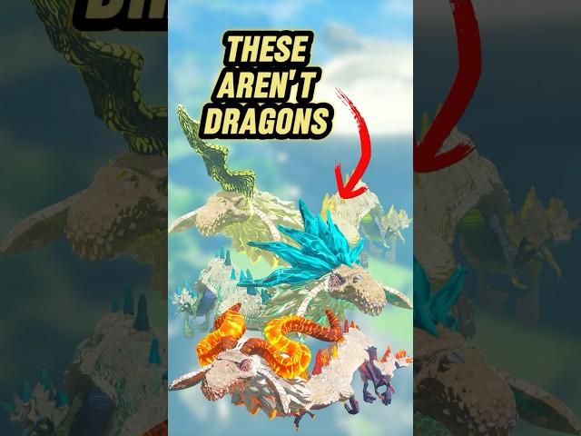 The Dragons Secret Identity REVEALED #botw #totk #thelegendofzelda #nintendo