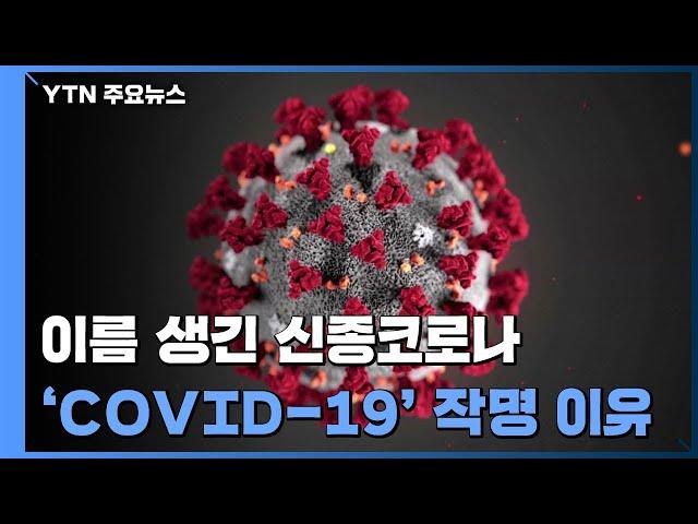 [앵커리포트] 이름 생긴 신종코로나...'COVID-19' 작명 기준은? / YTN