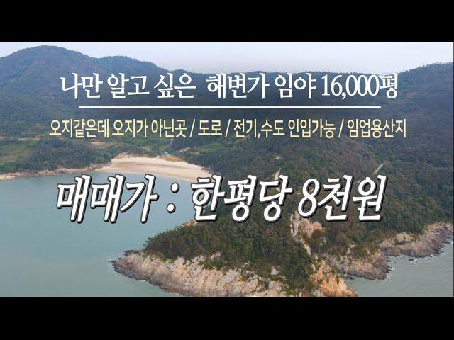 [목포토지사랑 208] 바닷가 자연인 토지(신안 임자 재원도) / 아름다운 해안가 임야 16,000평 / 포장도로 차량진입가능 / 수도,전기 인입용이 / 평당 8천원