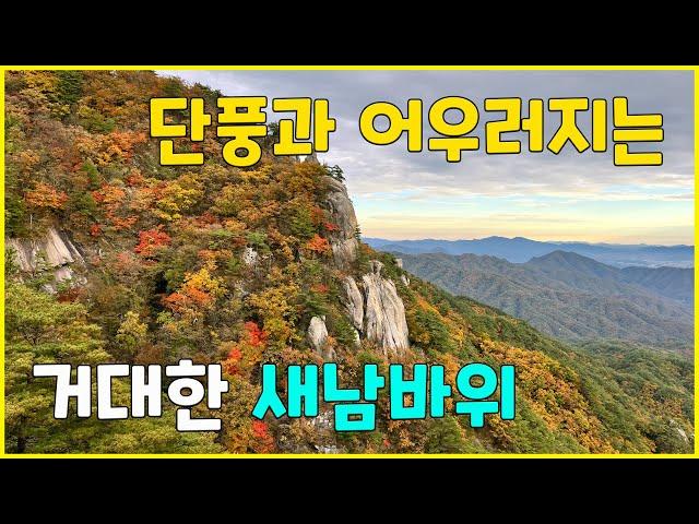 Hwacheon Yonghwasan Autumn Leaves, the Huge Saenambawi Rock