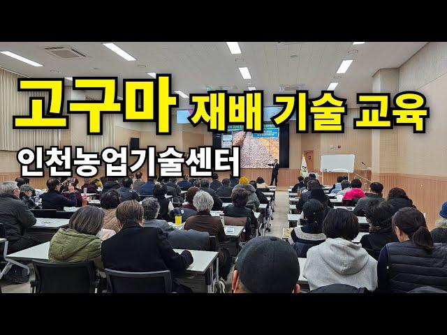 고구마재배기술교육-인천농업기술센터