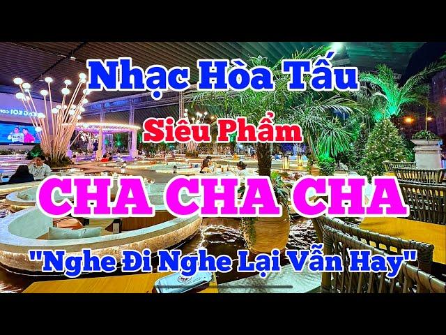 NHẠC HÒA TẤU CHA CHA CHA HAY NHẤT HIỆN NAY | LK CHA CHA CHA KHÔNG LỜI MỚI NHẤT | Organ Channel