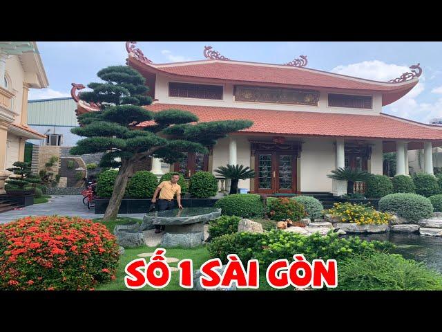 CHOÁNG NGỢT VỚI KHU VƯỜN BONSAI ĐẮT GIÁ BẬC NHẤT SÀI GÒN - Bonsai Sài gòn