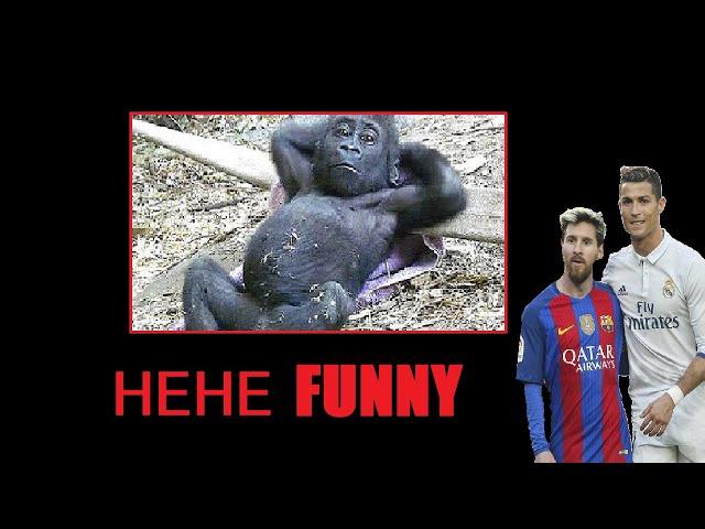 funny monkey clips and messi and ronaldo pictures together