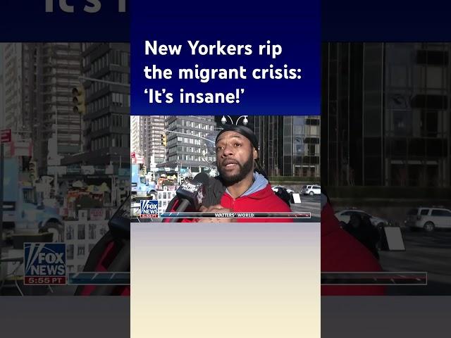 'Jesse Watters Primetime' asks New Yorkers about the migrant crisis #shorts