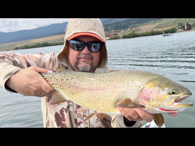 Where Have All the Big Fish Gone Henry's Lake? -  Stillwater Fly Fishing