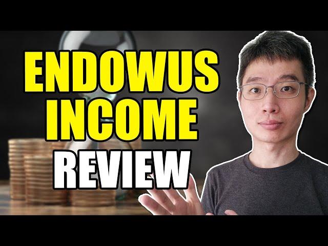 Reviewing Endowus Income Portfolios | Watch This Before Using!