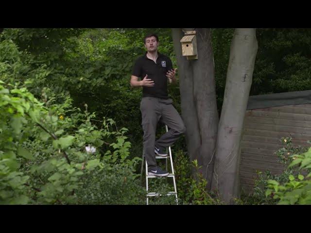 How to put up a nest box