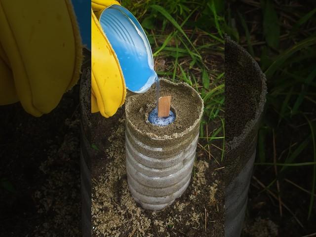 Genius IDEA for survival in the wild #bushcraft #camping #lifehacks