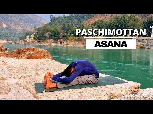  Paschimottanasana (Seated Forward Bend) for Beginners - Paschimottanasana Step by Step,  Benefits