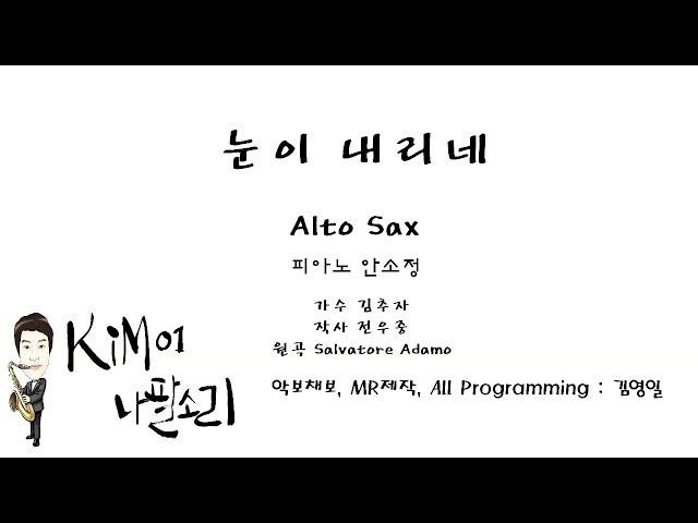 눈이내리네 Alto Sax - K나팔소리