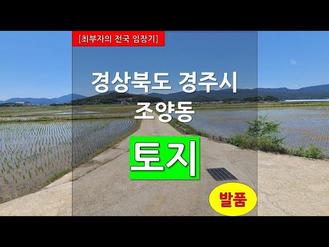 [최부자의 전국 임장기][발품] 경상북도 경주시 조양동 토지, 진입로
