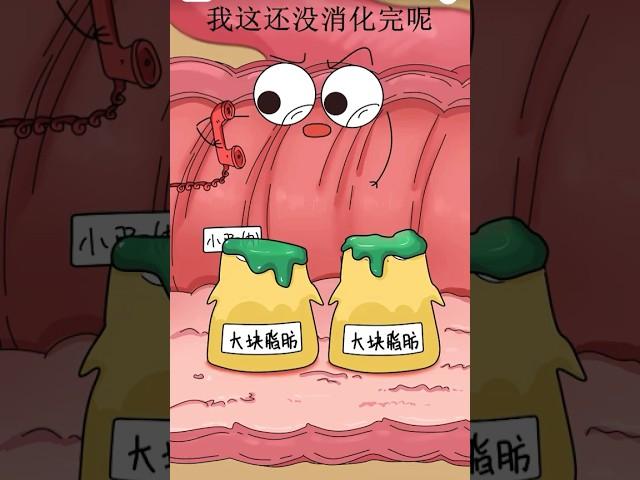 【知识科普】胆汁性腹膜炎 炎症