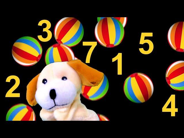 Skipped NUMBERS! New Counting Game (with Excite Dog!)