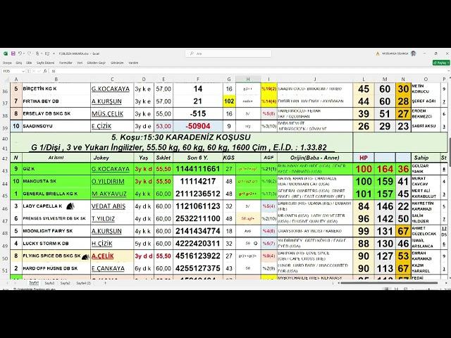 17,08,2024 Ankara At Yarışları Handikap Analiz Bülteni