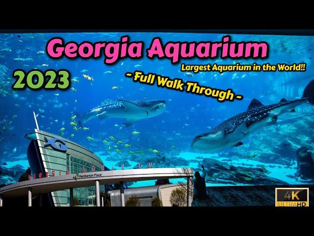 2023 Georgia Aquarium | Full Walk Through | Largest aquarium in the world | 4K | Atlanta, GA