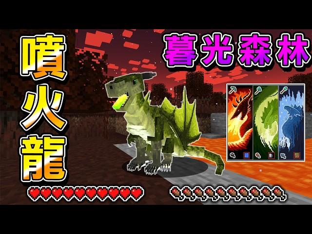 Minecraft 我成為『會漸漸成長噴火飛龍』暮光森林生存，擊殺吃掉所有Boss成長變得越來越強大！