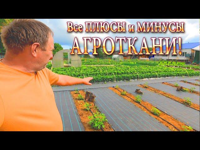 Агроткань - Все ПЛЮСЫ и МИНУСЫ! Подробный Обзор садового участка!