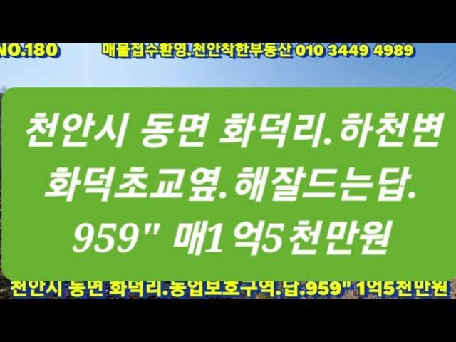 NO180.천안시 동면.화덕리. 농림보호구역.지목.답.959". 1억5천만원