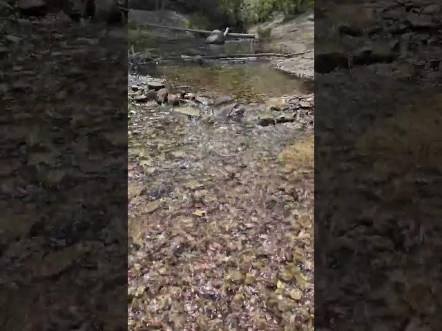 Awenda Provincial Park