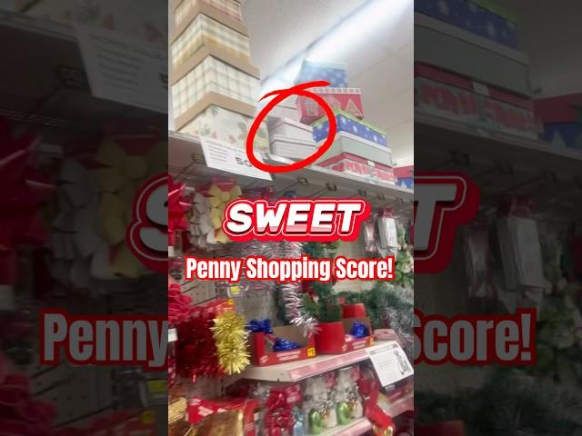 Penny Shop with Me at Dollar General! Check Out What I Scored!!