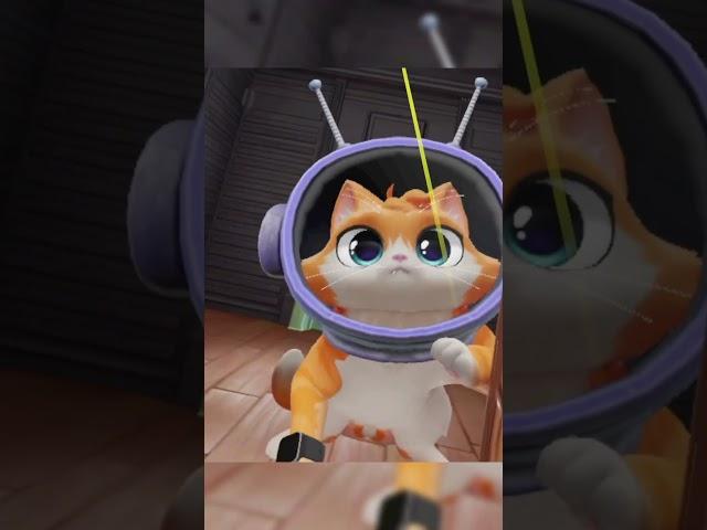 #iamcat #funny #vr