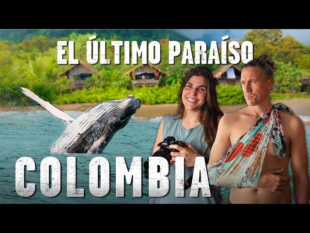 Surf Accidentado y Ballenas en Nuquí  Viajar a Colombia por Libre #4: Nuquí