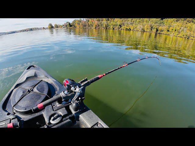 HUGE Catfish SMASH Kayak Rods