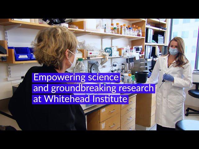 Support groundbreaking research at Whitehead Institute