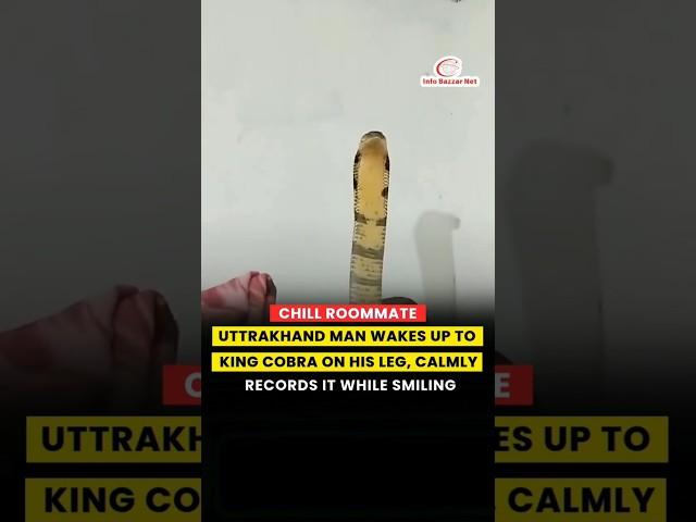 Uttarakhand king cobra viral video #KingCobra #ViralVideo #Uttarakhand #snake #duet #rescue