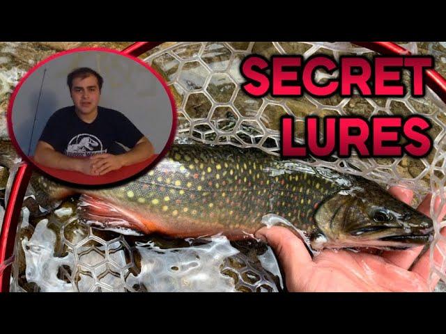 5 Shocking Brook Trout Lures That Actually Work in Southern Ontario!