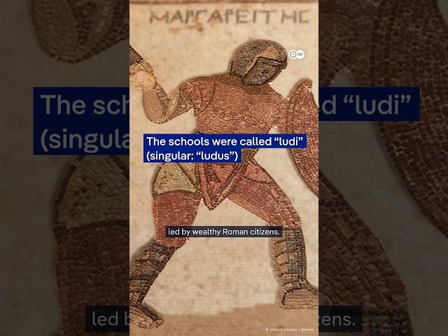 The REAL story of Gladiators #dwhistoryandculture