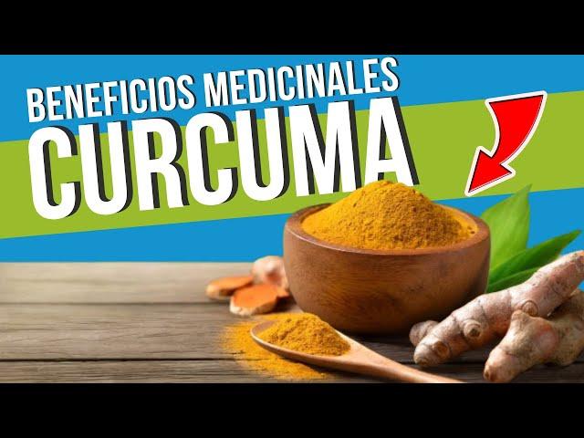  La CÚRCUMA y sus PROPIEDADES MEDICINALES  Cómo Usarla - Su Cultivo - Beneficios  ¡UN TESORO!