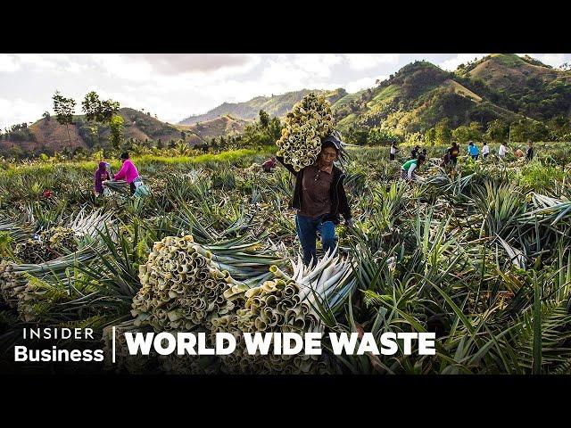 How People Profit Off Pineapple Scraps | World Wide Waste | Insider Business