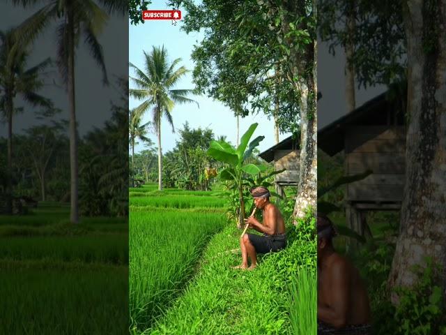 Between Silence and the Breeze #shorts #trending #village