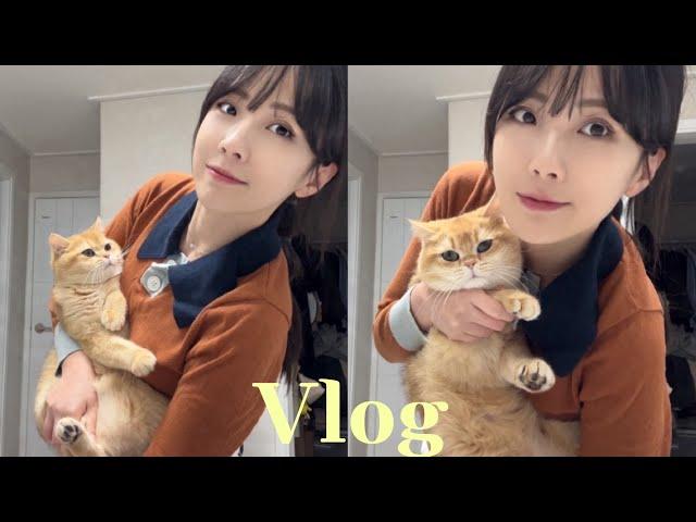 vlog | 직장인브이로그 | 이직 후 첫출근 | 붙임머리 | 전복솥밥 만들어먹기 ‍ | 일주일 일상 브이로그