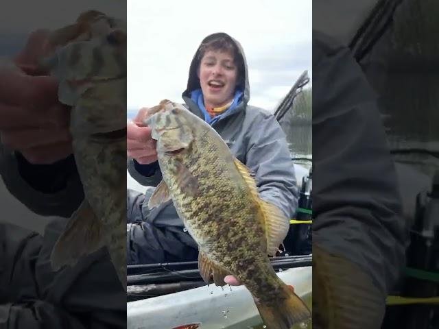 CLEAR water = big smallmouth #shorts #youtubeshorts #fishing #nonstop